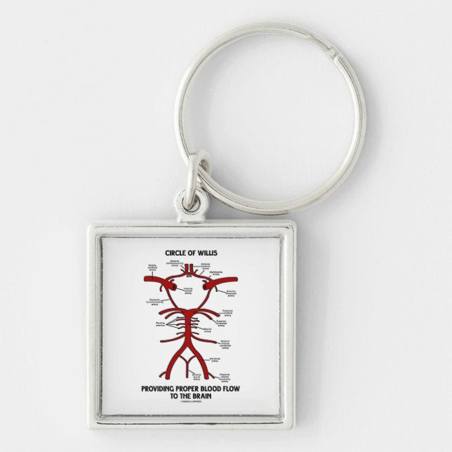Circle Of Willis Providing Proper Blood Flow Brain Keychain (Front)