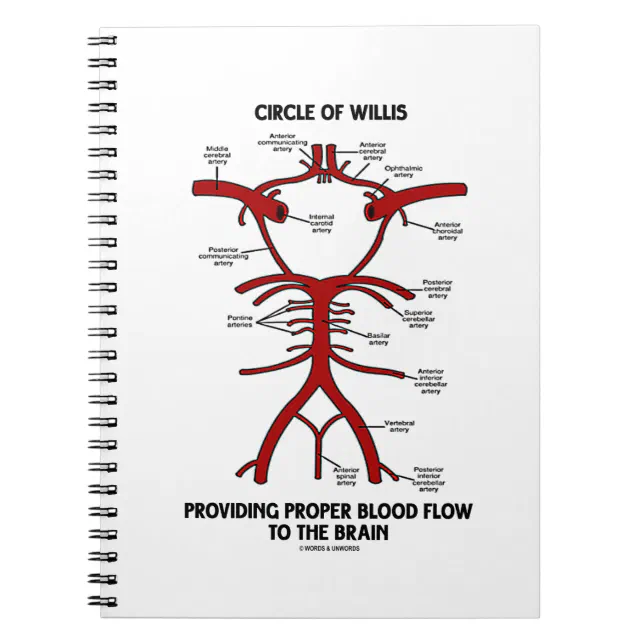 Circle Of Willis Providing Proper Blood Flow Brain Notebook | Zazzle