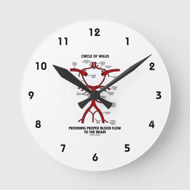 Circle Of Willis Providing Proper Blood Flow Brain Round Clock | Zazzle