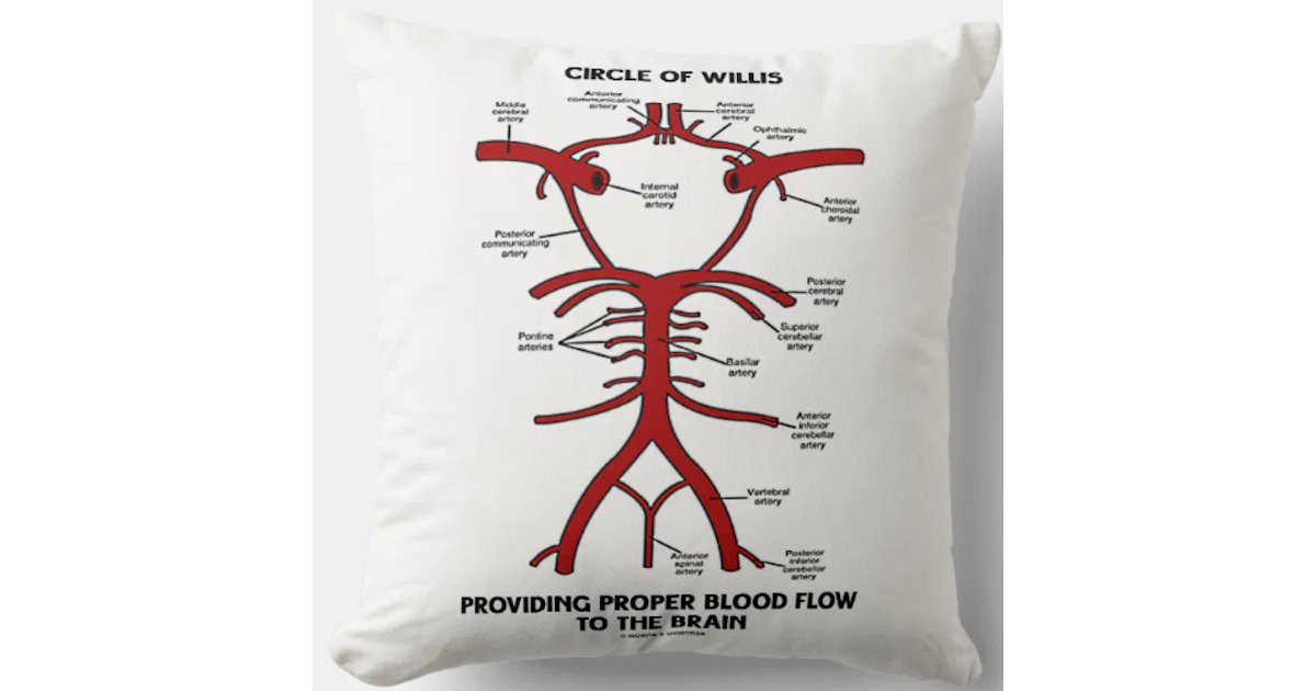 Circle Of Willis Providing Proper Blood Flow Brain Throw Pillow | Zazzle
