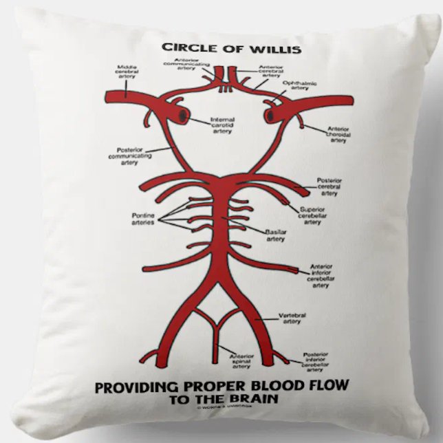 Circle Of Willis Providing Proper Blood Flow Brain Throw Pillow (Throw pillow featuring Circle of Willis diagram, complete with labels of all key arteries)