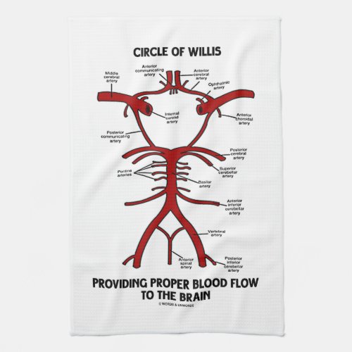 Circle Of Willis Providing Proper Blood Flow Brain Towel