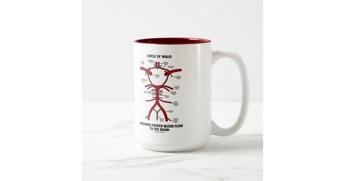 Circle Of Willis Providing Proper Blood Flow Brain Two-Tone Coffee Mug ...