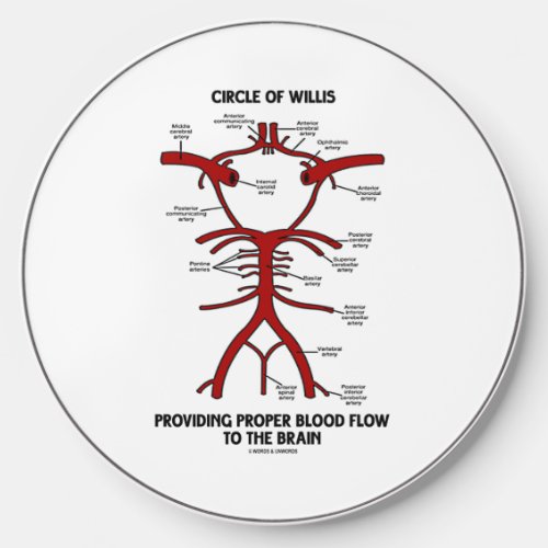 Circle Of Willis Providing Proper Blood Flow Brain Wireless Charger