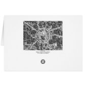 Circleville (bordered) cards (Back Horizontal)
