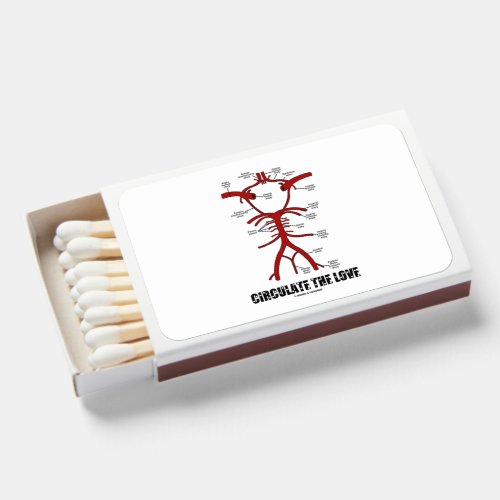 Circulate The Love Circle Of Willis Anatomy Advice Matchboxes