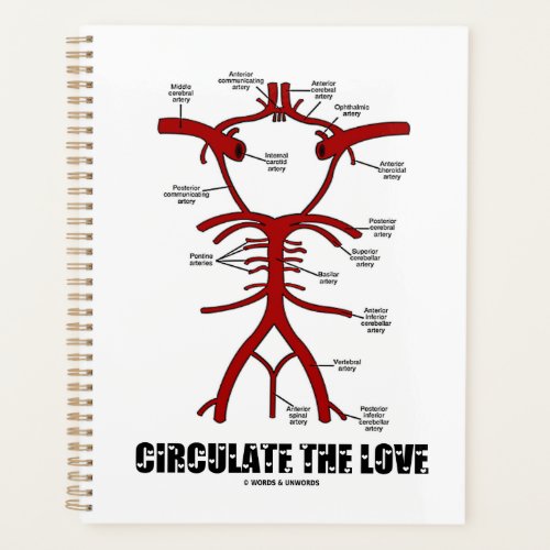 Circulate The Love Circle Of Willis Anatomy Advice Planner