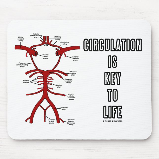 Circulation Is Key To Life (Circle Of Willis) Mouse Pad (Front)