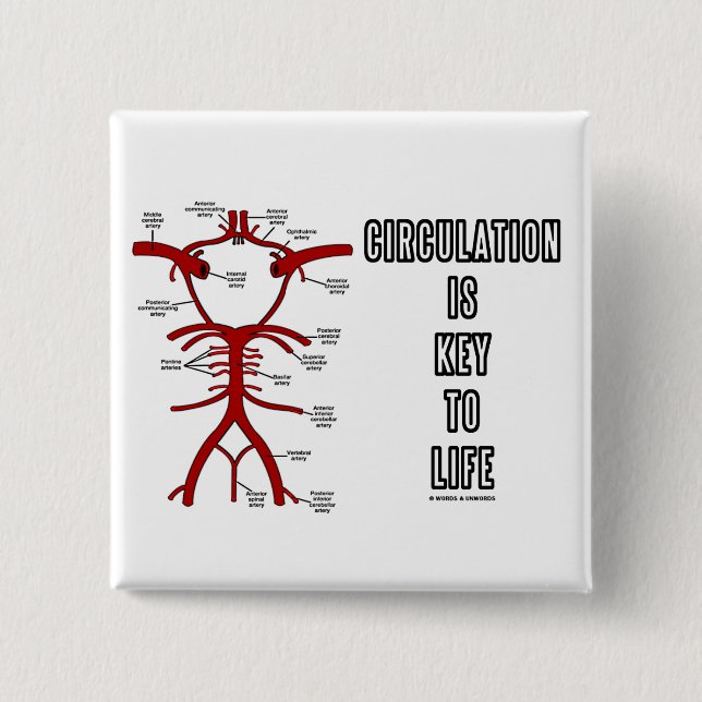 Circulation Is Key To Life (Circle Of Willis) Pinback Button (Front)