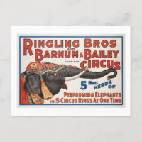 Circus  5 Big Herds of Performing Elephants