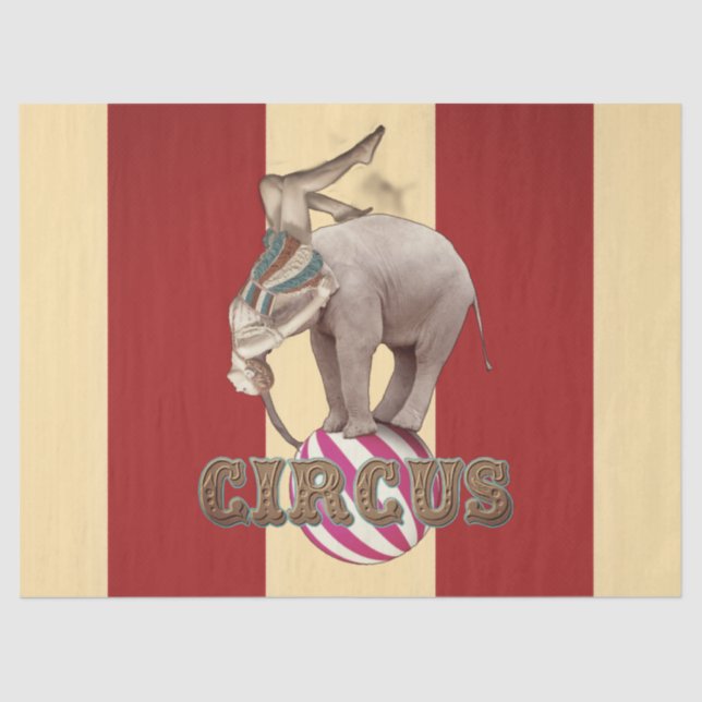 Circus Carnival  Tissue Paper (Front)