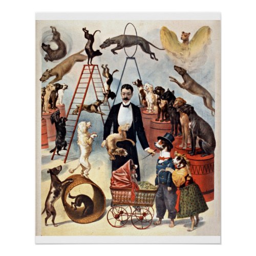 Circus Dogs vintage illustration Poster