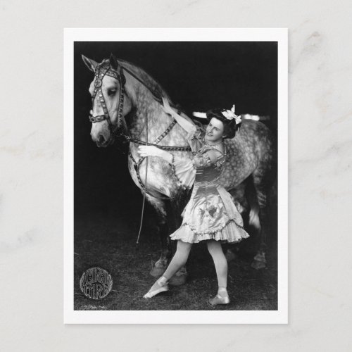 Circus Girl with Horse 1908 Postcard