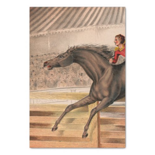 Circus horse and daredevil flying over a fence tissue paper