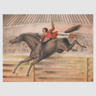 Circus horse and daredevil flying over a fence tissue paper