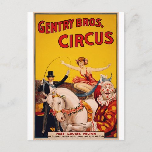 Circus Horse Postcard