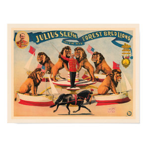Circus Lions, vintage illustration, Poster
