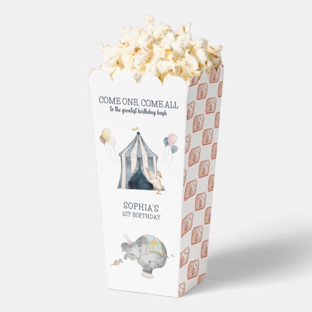 Circus Party Carnival Theme 1st Birthday Favor Boxes (Popped)