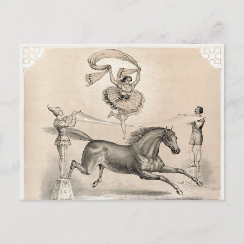 Circus Performer Jumping Over A Large Ribbon Postcard