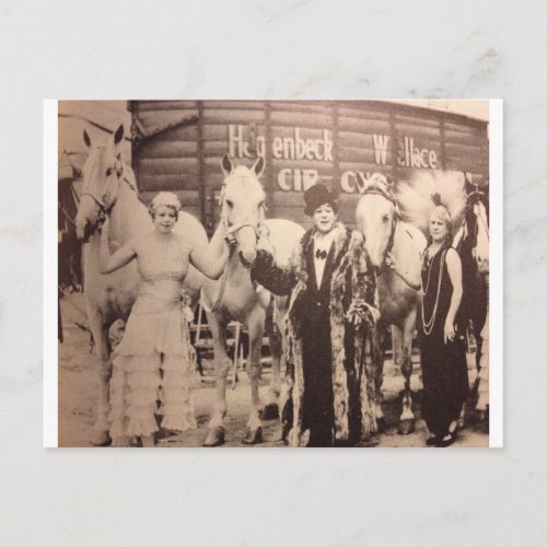Circus Performers and White Horses Postcard