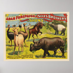 Circus Poster For Adam Forepaugh & Sells Brothers