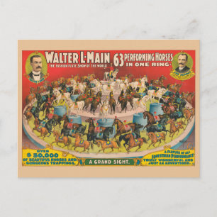 Circus Poster Of 63 Performing Horses In One Ring Postcard