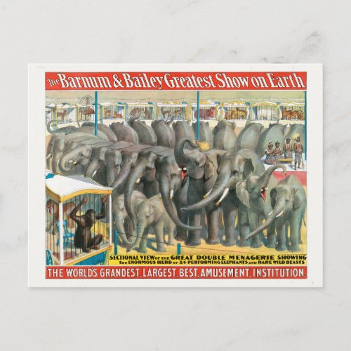 Circus Poster Of Elephants And Animals In Cages Postcard