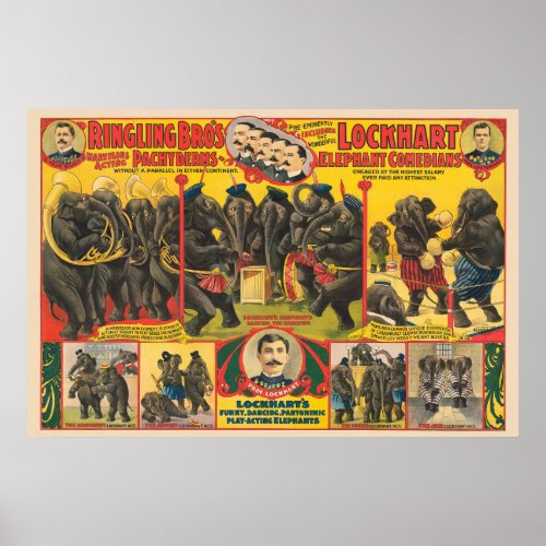 Circus Poster Of Elephants Performing