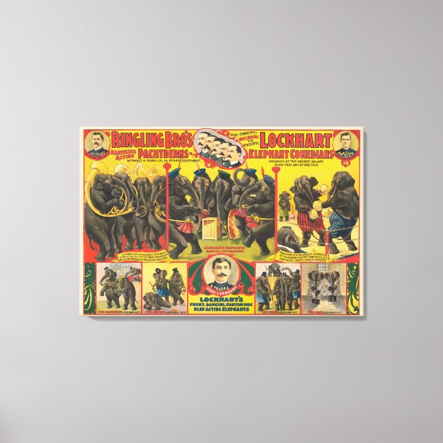 Circus Poster Of Elephants Performing Canvas Print (Front)
