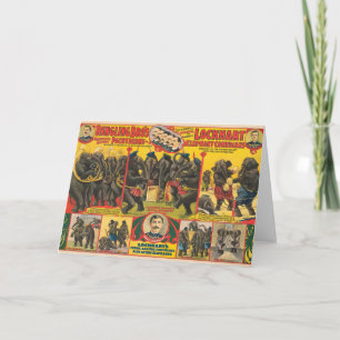 Circus Poster Of Elephants Performing Card