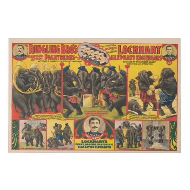 Circus Poster Of Elephants Performing Faux Canvas Print (Front)