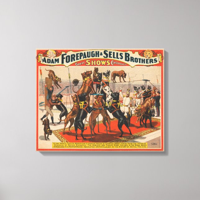 Circus Poster Of Great Danes With Trainer Canvas Print (Front)