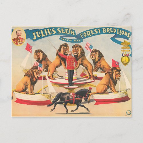 Circus Poster Of Julius Seeth With His Lions Postcard