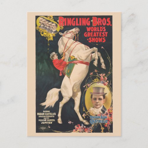 Circus Poster Of Madam Ada Castello On A Horse Postcard