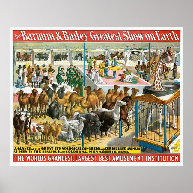 Circus Poster Of People Of Different Nationalities (Front)