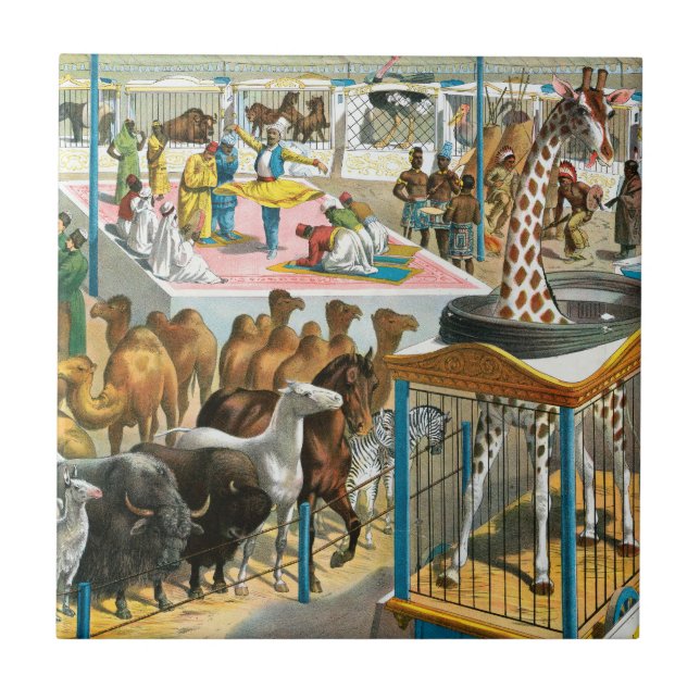 Circus Poster Of People Of Different Nationalities Ceramic Tile (Front)