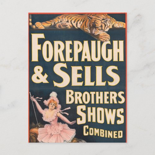 Circus Poster Of Tiger And Woman On Horseback Postcard