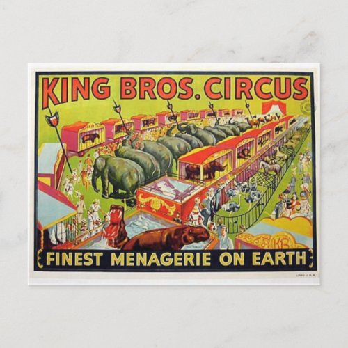 Circus Poster Postcard