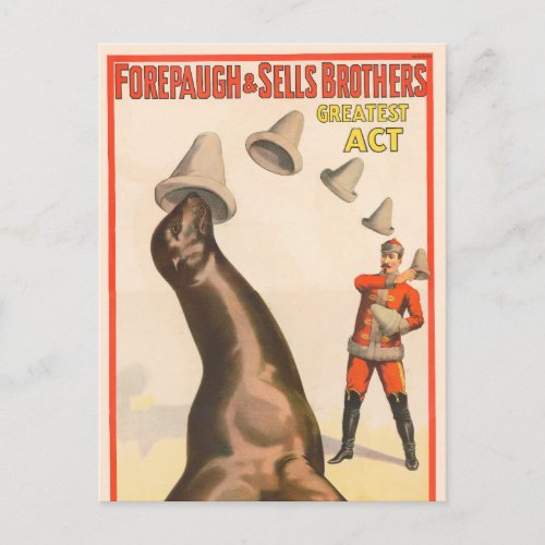 Circus Poster Showing A Sea Lion Catching Hats Postcard