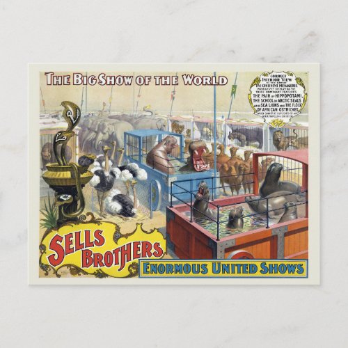 Circus Poster Showing Wild Animals In Cages Postcard
