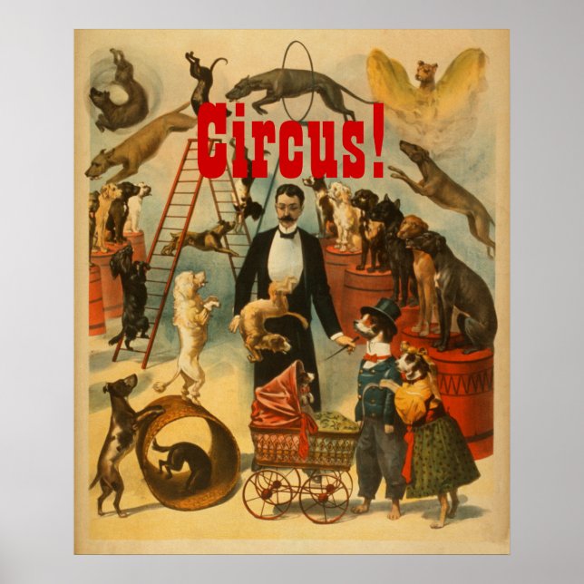 Circus! - Theater Poster #1 (Front)