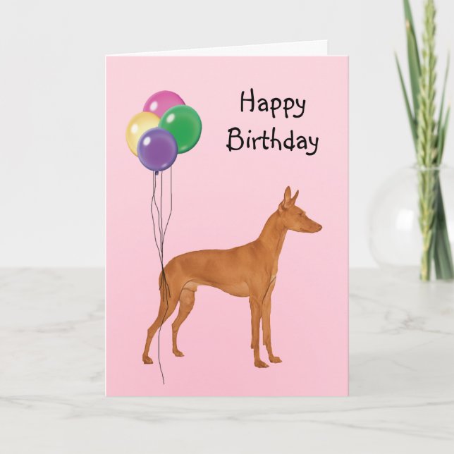 Cirneco dell'Etna, Birthday Balloons Card (Front)
