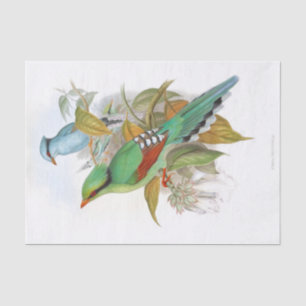 Cissa Venatoria Decoupage  Tissue Paper
