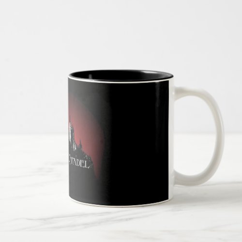 Citadel mug2 Two_Tone coffee mug