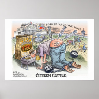 Citizen Cattle 19" x 13", Poster Semi gloss
