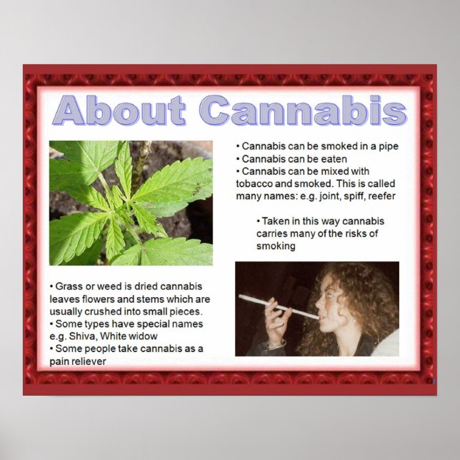 Citizenship, life skills  just say No! Poster (Front)