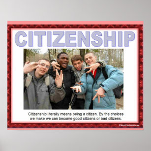 Citizenship, SOcial studies, introduction Poster
