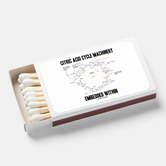 Citric Acid Cycle Machinery Embedded Within Krebs Matchboxes