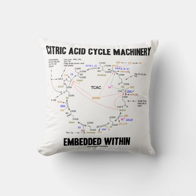 Citric Acid Cycle Machinery Embedded Within Krebs Throw Pillow (Front)