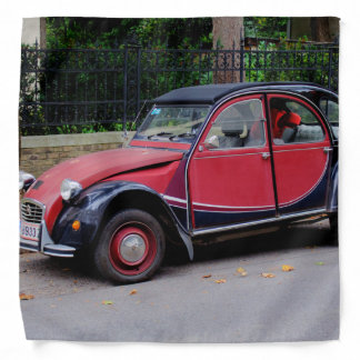 Citroen 2 CV Charleston Bandana